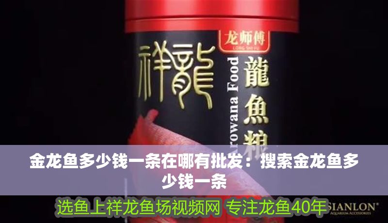 金龍魚多少錢一條在哪有批發：搜索金龍魚多少錢一條 金龍魚多少錢一條在哪有批發：搜索金龍魚多少錢一條 龍魚百科 第2張