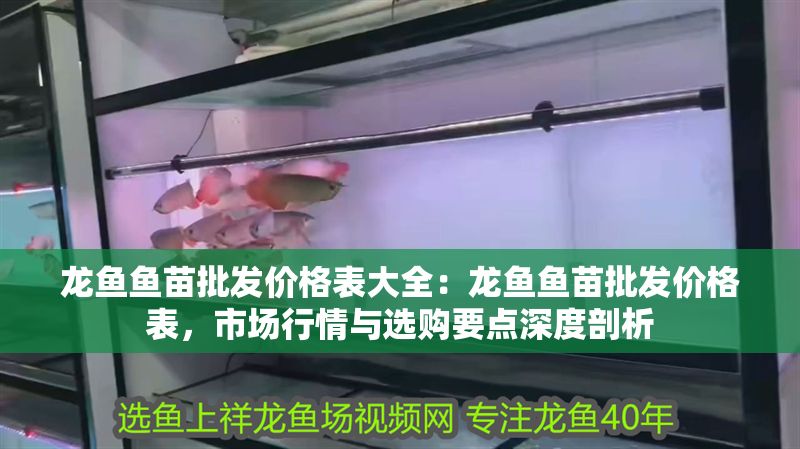 龍魚魚苗批發價格表大全：龍魚魚苗批發價格表，市場行情與選購要點深度剖析