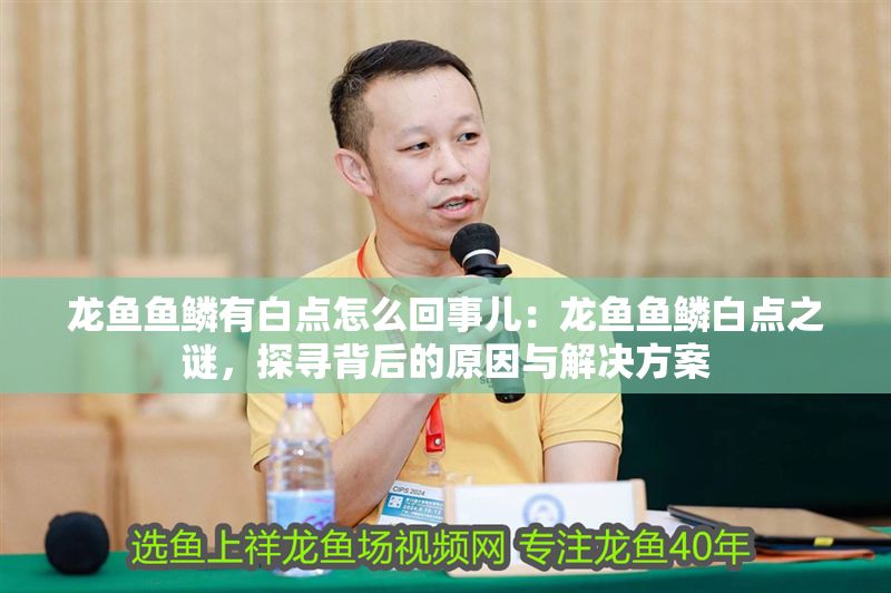 龍魚魚鱗有白點怎么回事兒：龍魚魚鱗白點之謎，探尋背后的原因與解決方案