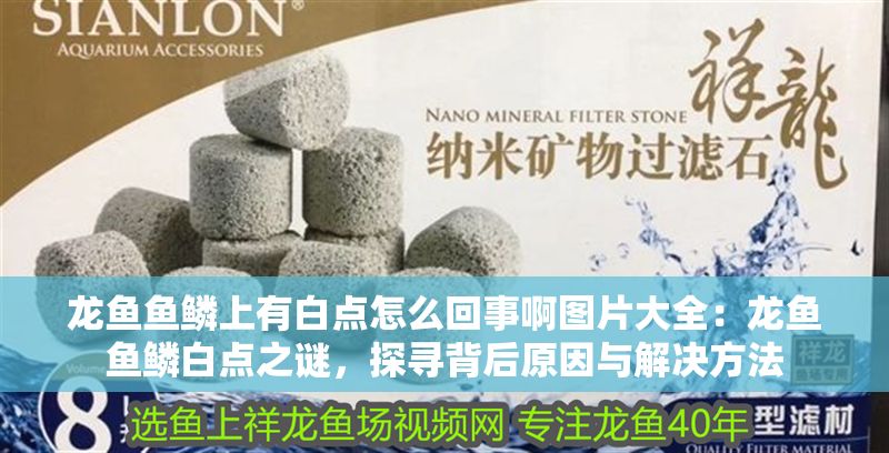 龍魚魚鱗上有白點怎么回事啊圖片大全：龍魚魚鱗白點之謎，探尋背后原因與解決方法