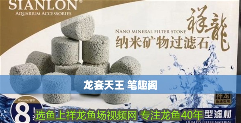 龍套天王 筆趣閣