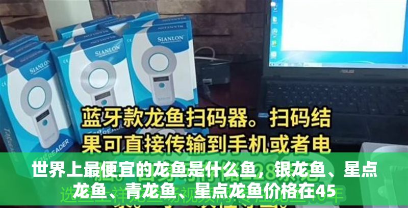 世界上最便宜的龍魚是什么魚，銀龍魚、星點龍魚、青龍魚、星點龍魚價格在45