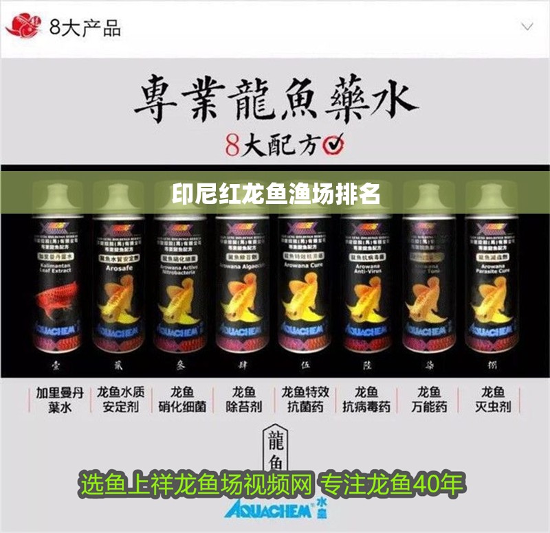 印尼紅龍魚漁場排名 印尼紅龍魚漁場排名 龍魚百科