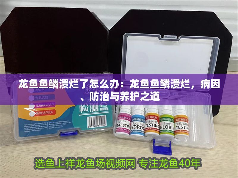 龍魚魚鱗潰爛了怎么辦：龍魚魚鱗潰爛，病因、防治與養(yǎng)護之道