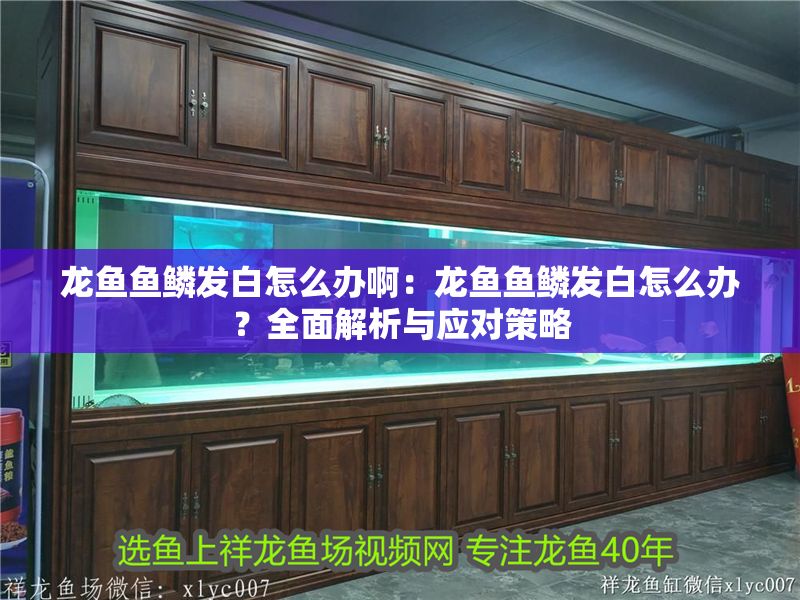 龍魚魚鱗發白怎么辦啊：龍魚魚鱗發白怎么辦？全面解析與應對策略