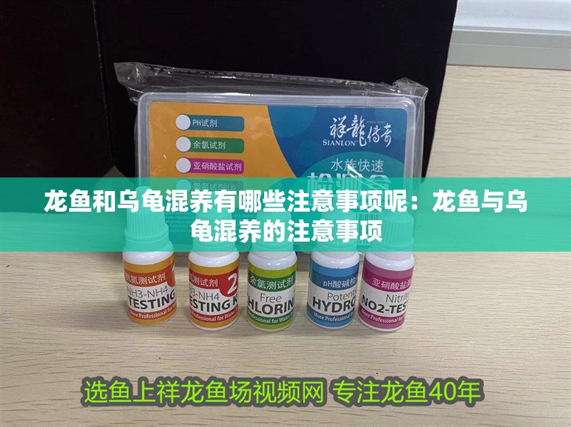 龍魚和烏龜混養有哪些注意事項呢：龍魚與烏龜混養的注意事項