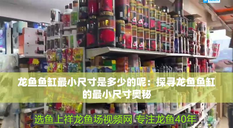 龍魚魚缸最小尺寸是多少的呢：探尋龍魚魚缸的最小尺寸奧秘