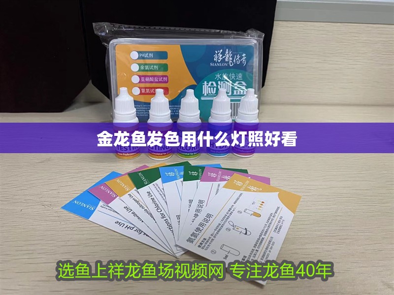 金龍魚發(fā)色用什么燈照好看