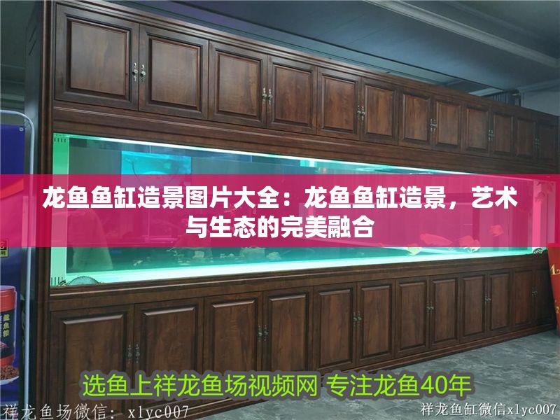 龍魚魚缸造景圖片大全：龍魚魚缸造景，藝術與生態的完美融合