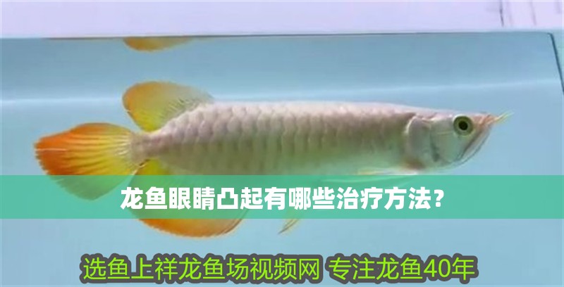 龍魚眼睛凸起有哪些治療方法？ 龍魚眼睛凸起有哪些治療方法？ 龍魚百科