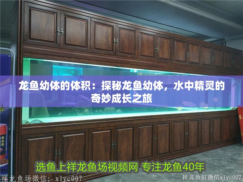 龍魚幼體的體積：探秘龍魚幼體，水中精靈的奇妙成長之旅