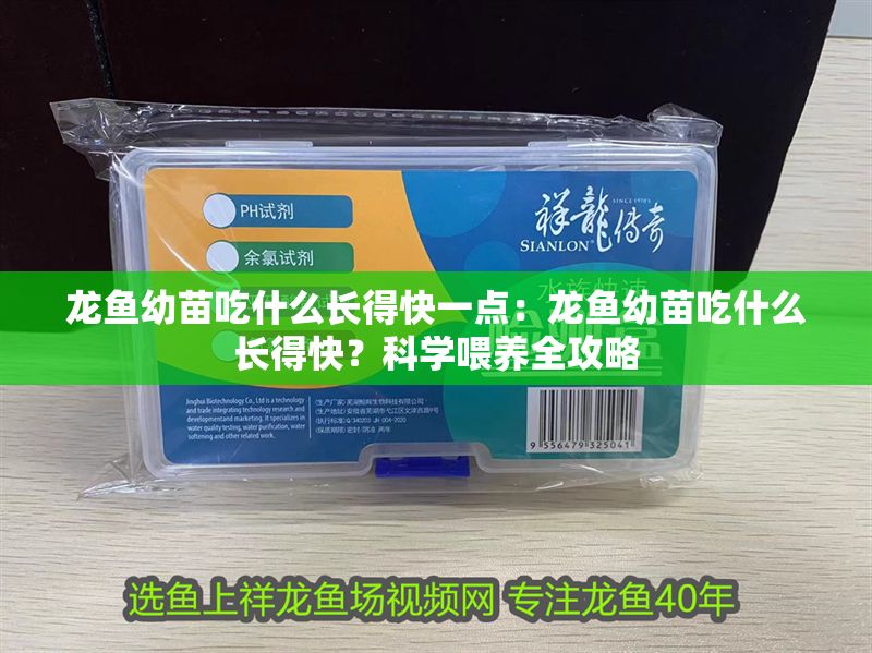 龍魚幼苗吃什么長得快一點：龍魚幼苗吃什么長得快？科學喂養全攻略 龍魚幼苗吃什么長得快一點：龍魚幼苗吃什么長得快？科學喂養全攻略 龍魚百科 第1張