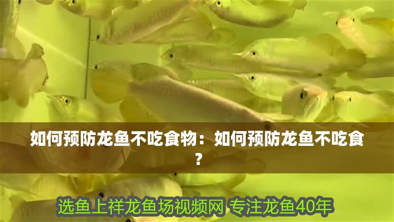 如何預防龍魚不吃食物：如何預防龍魚不吃食？