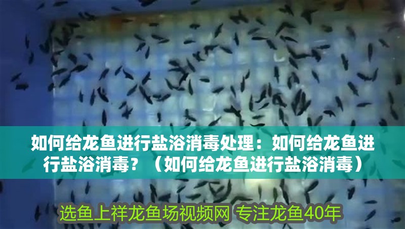 如何給龍魚進(jìn)行鹽浴消毒處理：如何給龍魚進(jìn)行鹽浴消毒？（如何給龍魚進(jìn)行鹽浴消毒）