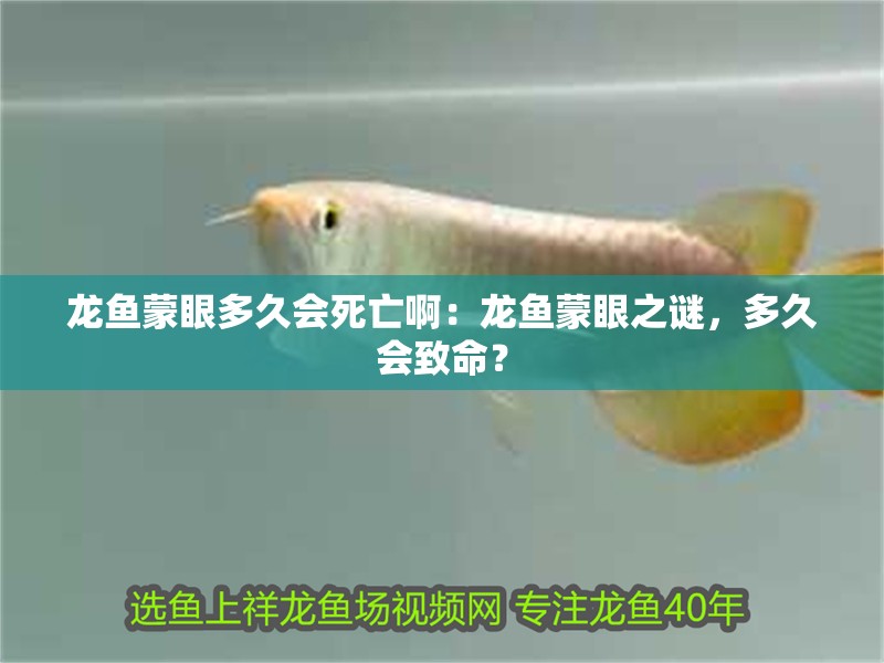 龍魚蒙眼多久會死亡?。糊堲~蒙眼之謎，多久會致命？