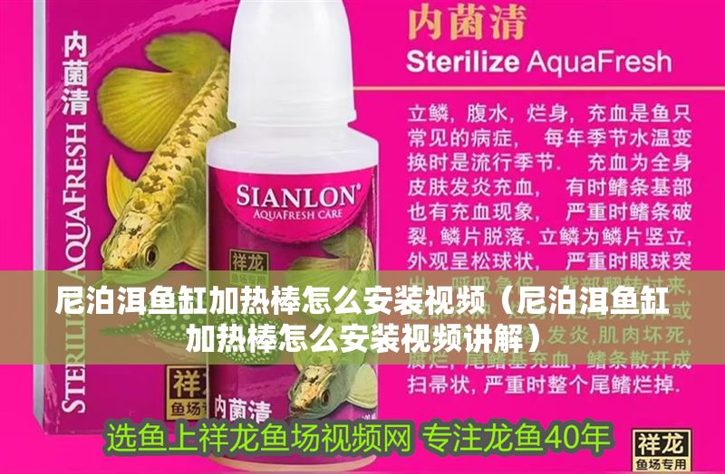 尼泊洱魚缸加熱棒怎么安裝視頻（尼泊洱魚缸加熱棒怎么安裝視頻講解）