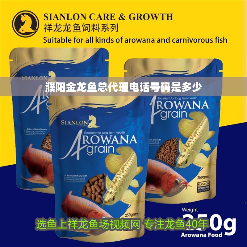 金龍魚鱗片形狀：關于金龍魚鱗片形狀的詳細解釋 金龍魚鱗片形狀：關于金龍魚鱗片形狀的詳細解釋 龍魚百科