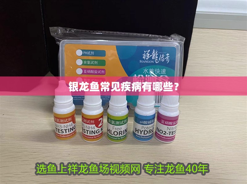 銀龍魚常見疾病有哪些？