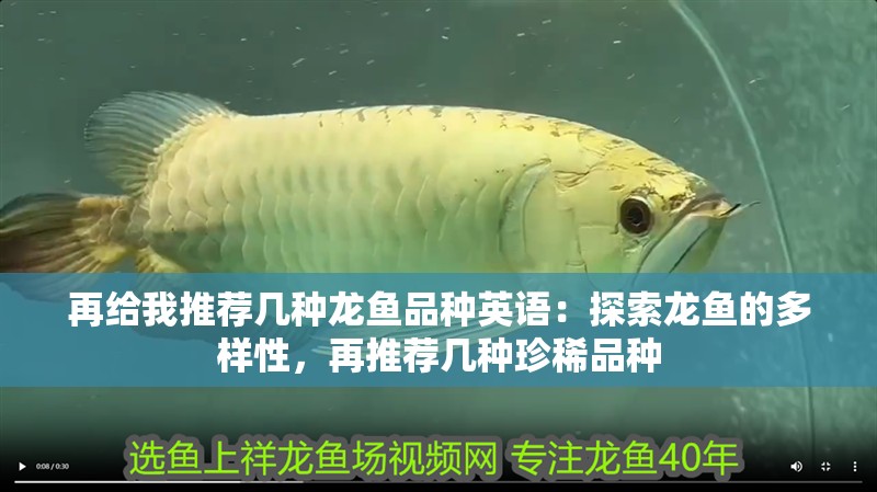 再給我推薦幾種龍魚品種英語：探索龍魚的多樣性，再推薦幾種珍稀品種
