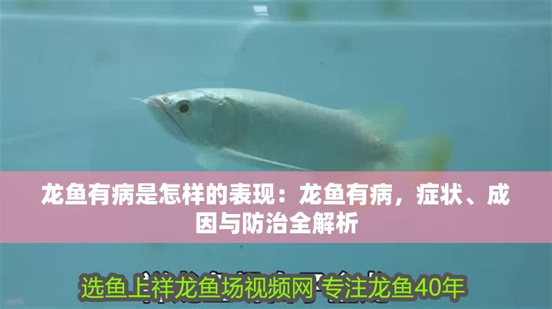 龍魚有病是怎樣的表現(xiàn)：龍魚有病，癥狀、成因與防治全解析
