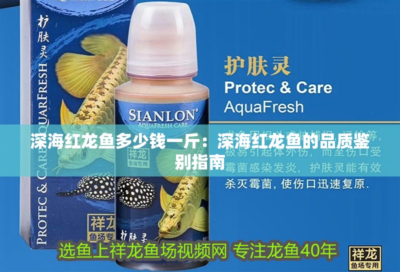 深海紅龍魚多少錢一斤：深海紅龍魚的品質(zhì)鑒別指南