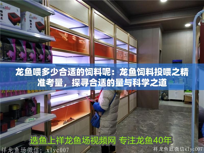 龍魚喂多少合適的飼料呢：龍魚飼料投喂之精準考量，探尋合適的量與科學之道