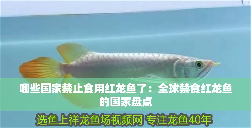給大魚缸換水的作文:體驗給大魚缸換水的樂趣:體驗給大魚缸換水:給大魚缸換水的作文 哪些國家禁止食用紅龍魚了:全球禁食紅龍魚的國家盤點 水族問答 哪些國家禁止食用紅龍魚了:全球禁食紅龍魚的國家盤點 哪些國家禁止食用紅龍魚了:全球禁食紅龍魚的國家盤點 水族問答