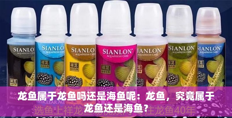 龍魚屬于龍魚嗎還是海魚呢：龍魚，究竟屬于龍魚還是海魚？