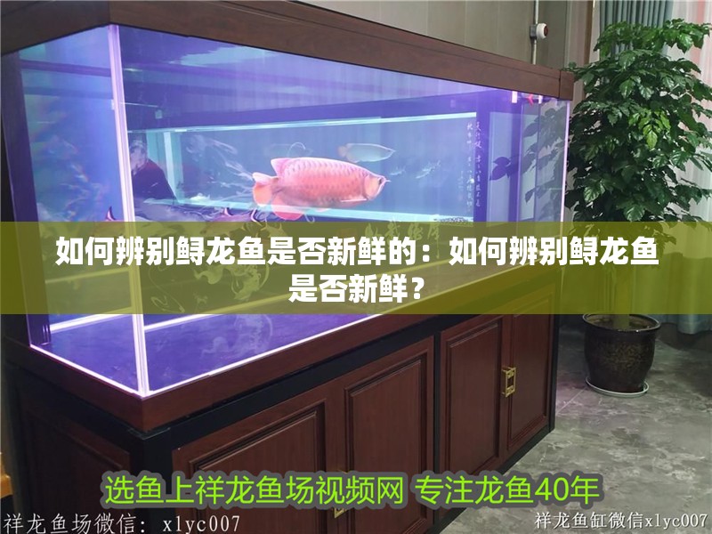 如何辨別鱘龍魚是否新鮮的：如何辨別鱘龍魚是否新鮮？