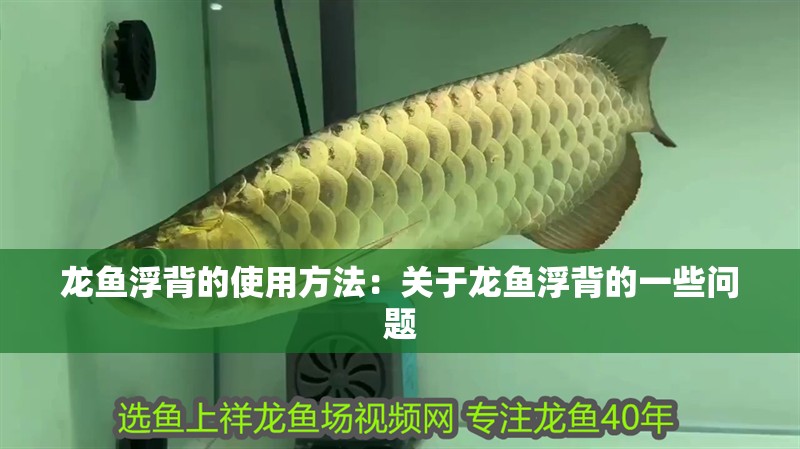 龍魚浮背的使用方法：關(guān)于龍魚浮背的一些問題