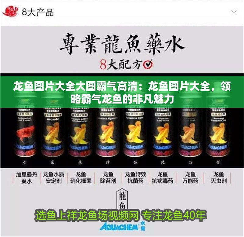 龍魚圖片大全大圖霸氣高清：龍魚圖片大全，領略霸氣龍魚的非凡魅力