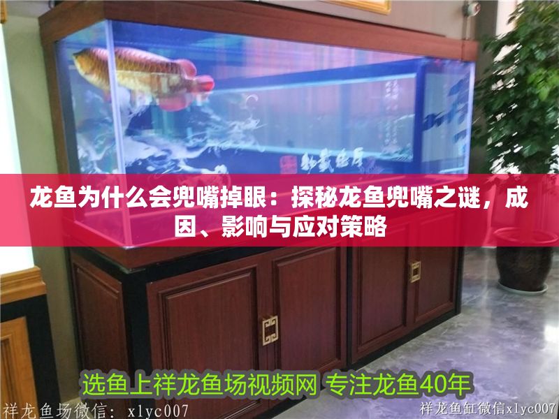 龍魚為什么會兜嘴掉眼：探秘龍魚兜嘴之謎，成因、影響與應對策略