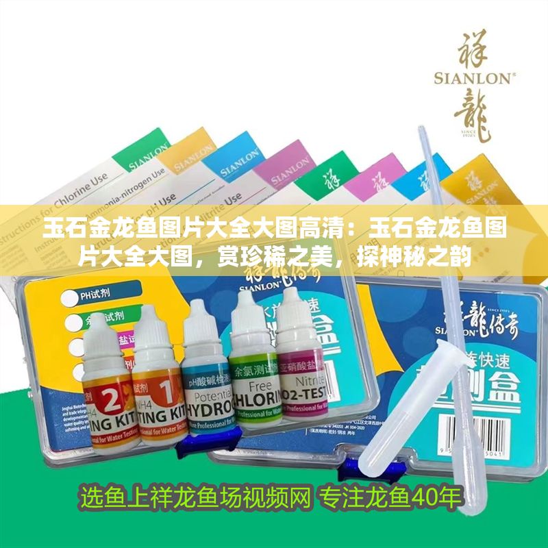 玉石金龍魚圖片大全大圖高清：玉石金龍魚圖片大全大圖，賞珍稀之美，探神秘之韻