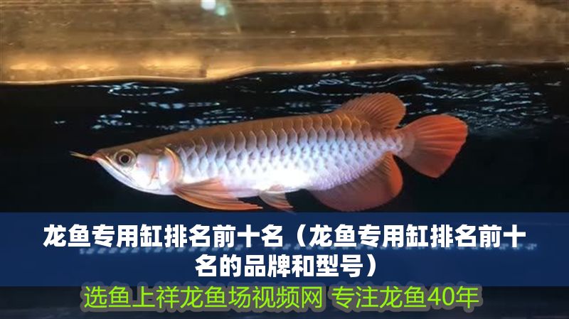 龍魚(yú)專(zhuān)用缸排名前十名（龍魚(yú)專(zhuān)用缸排名前十名的品牌和型號(hào)）