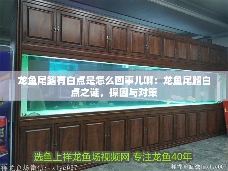 龍魚尾鰭有白點是怎么回事兒啊：龍魚尾鰭白點之謎，探因與對策