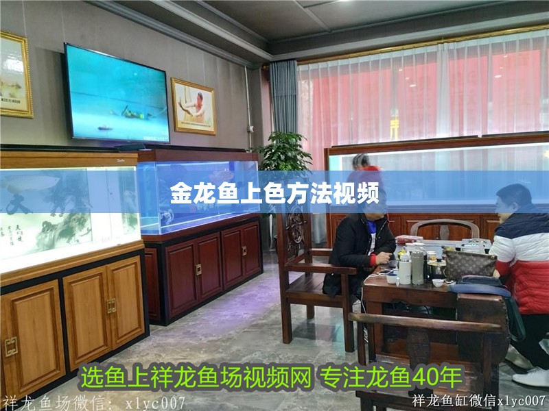 金龍魚上色方法視頻