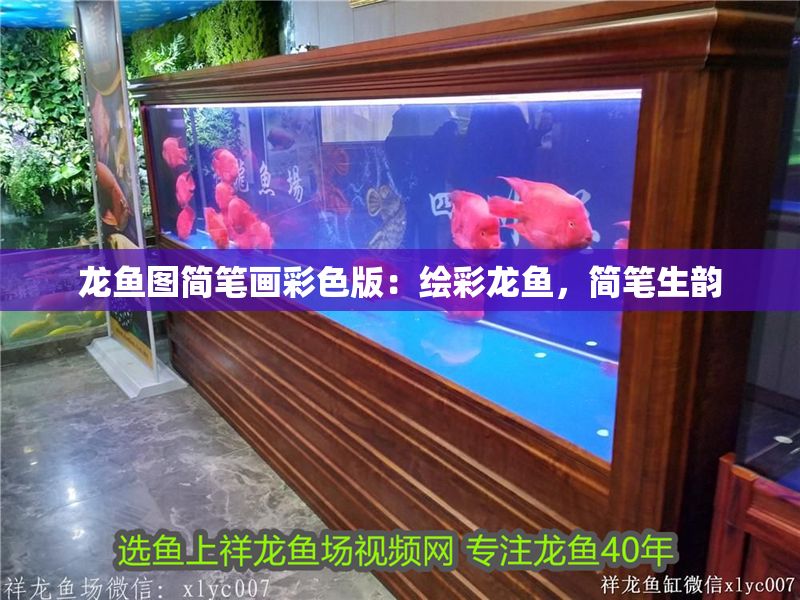 龍魚圖簡筆畫彩色版：繪彩龍魚，簡筆生韻 龍魚圖簡筆畫彩色版：繪彩龍魚，簡筆生韻 龍魚百科 第1張