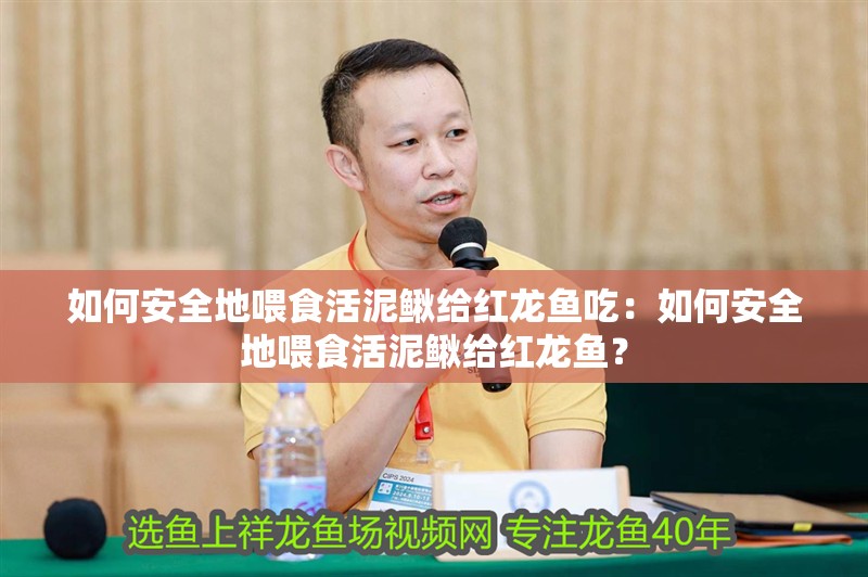 如何安全地喂食活泥鰍給紅龍魚吃：如何安全地喂食活泥鰍給紅龍魚？
