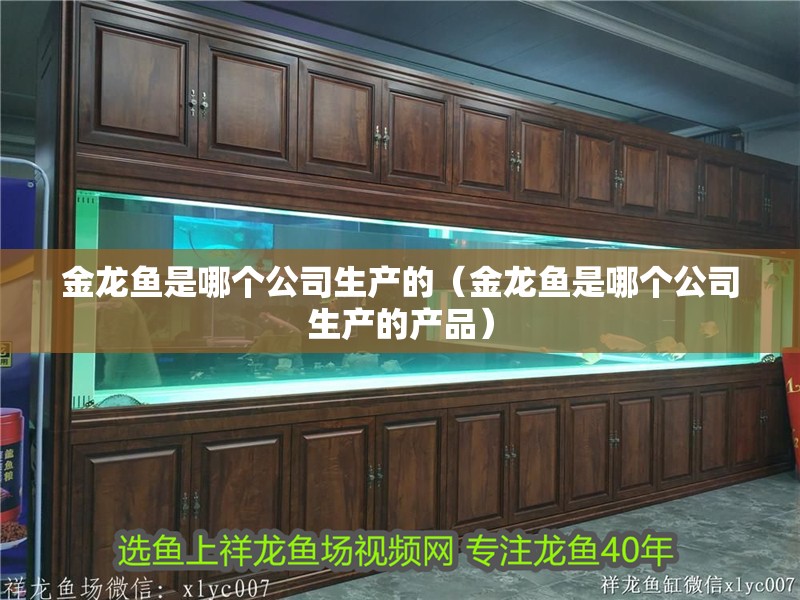 金龍魚是哪個公司生產的（金龍魚是哪個公司生產的產品）