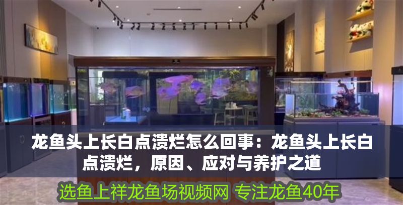 龍魚頭上長白點潰爛怎么回事：龍魚頭上長白點潰爛，原因、應對與養護之道