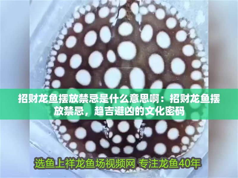 招財龍魚擺放禁忌是什么意思啊：招財龍魚擺放禁忌，趨吉避兇的文化密碼