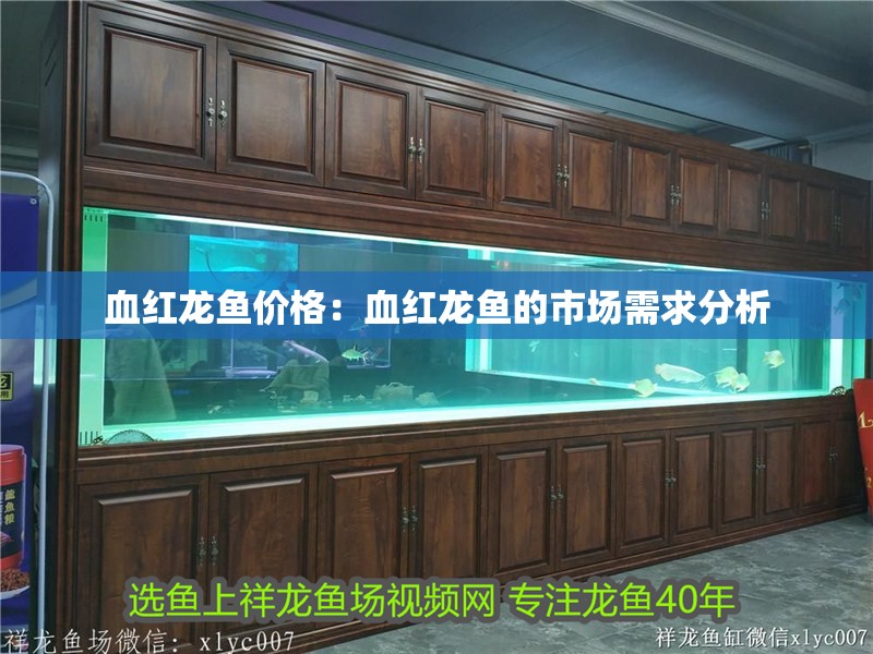 血紅龍魚(yú)價(jià)格：血紅龍魚(yú)的市場(chǎng)需求分析