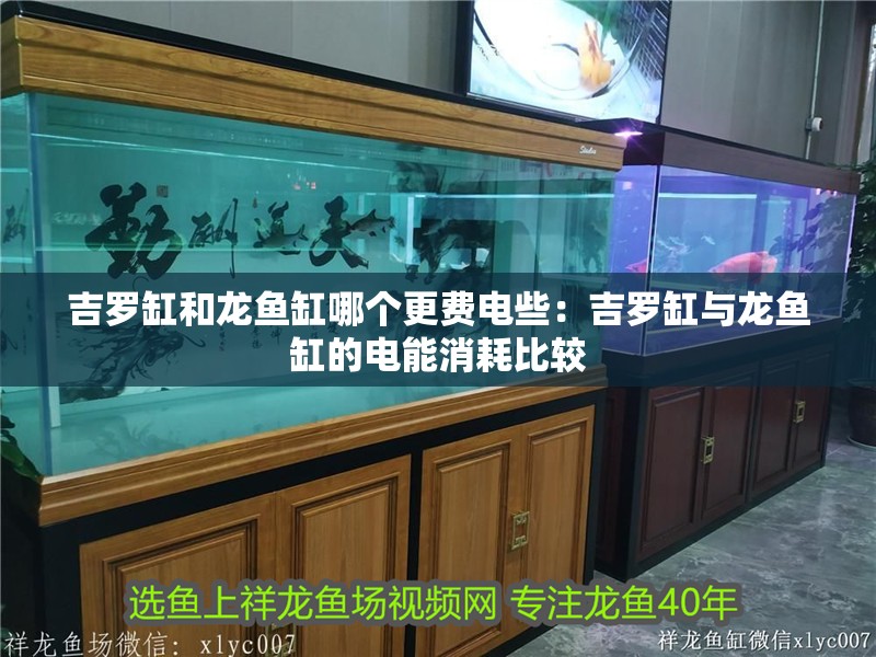 吉羅缸和龍魚缸哪個更費電些：吉羅缸與龍魚缸的電能消耗比較