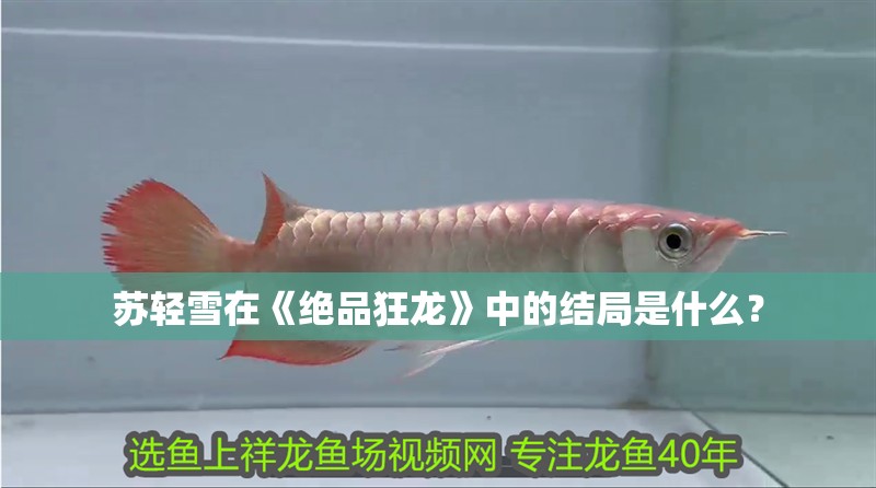 蘇輕雪在《絕品狂龍》中的結局是什么？ 蘇輕雪在《絕品狂龍》中的結局是什么？ 龍魚百科