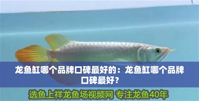 龍魚缸哪個品牌口碑最好的：龍魚缸哪個品牌口碑最好？