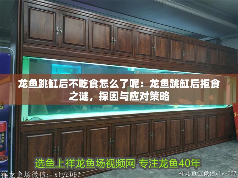 龍魚跳缸后不吃食怎么了呢：龍魚跳缸后拒食之謎，探因與應(yīng)對策略