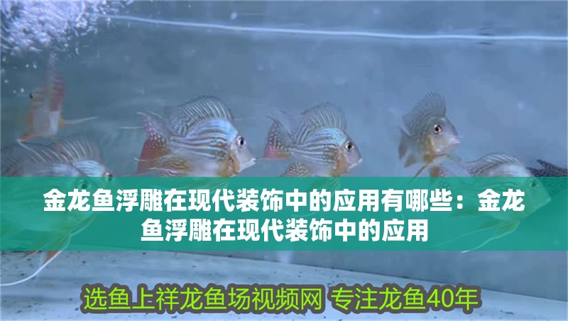 金龍魚浮雕在現代裝飾中的應用有哪些：金龍魚浮雕在現代裝飾中的應用
