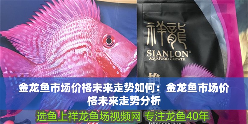 金龍魚市場價格未來走勢如何：金龍魚市場價格未來走勢分析