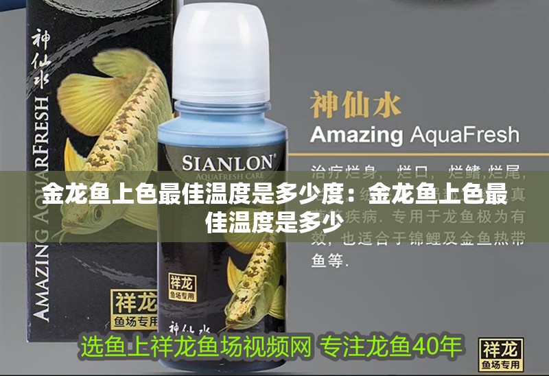 金龍魚上色最佳溫度是多少度：金龍魚上色最佳溫度是多少
