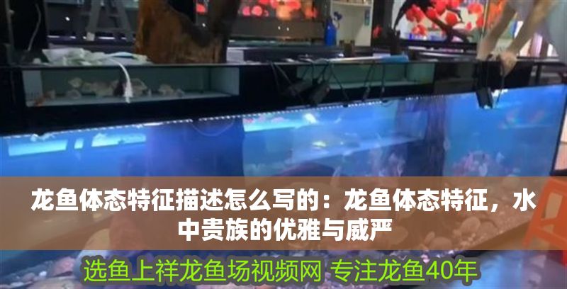 求助我這個長大是紅色。還是橙色？